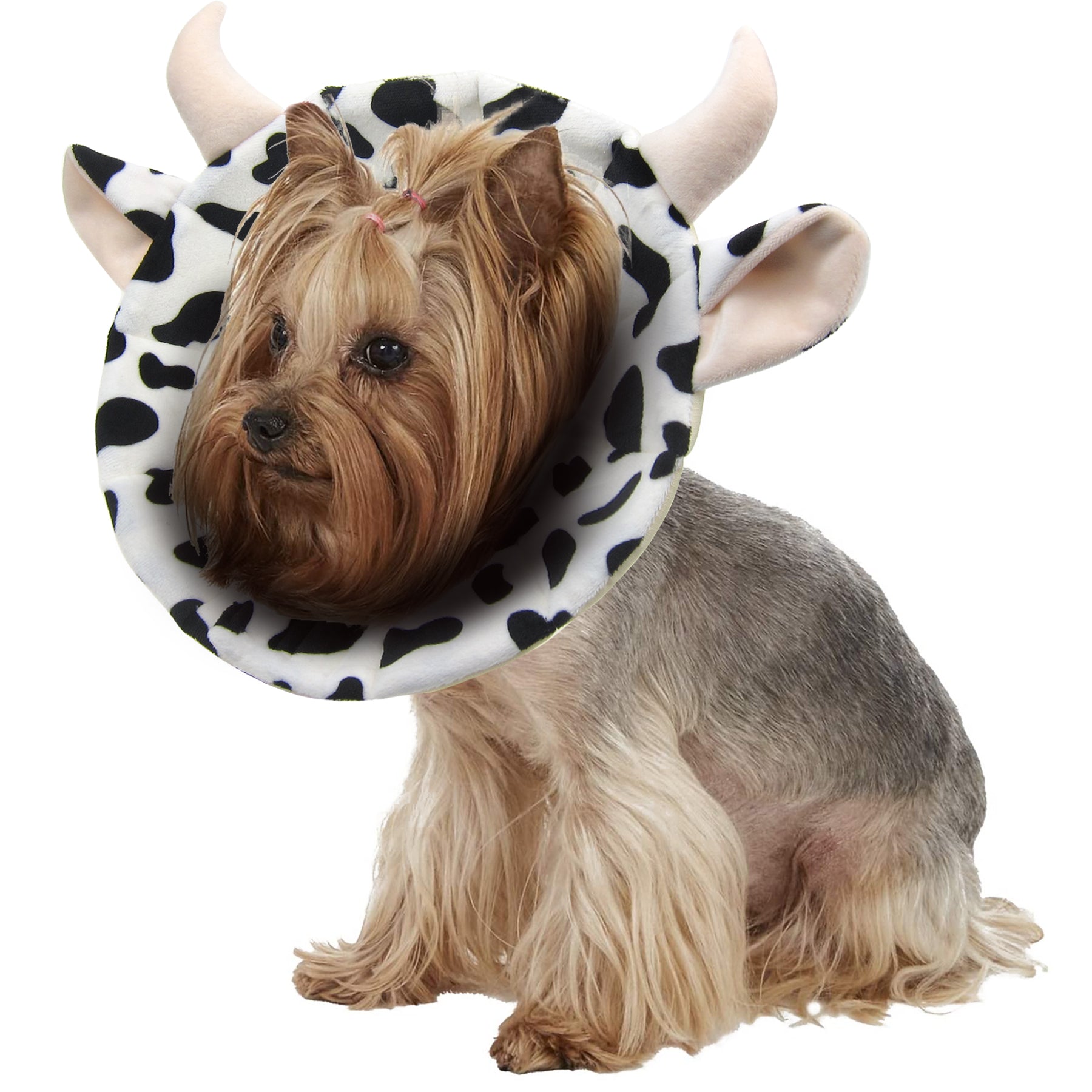 Dog in outlet cow costume