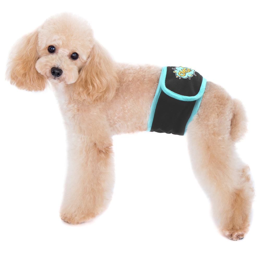 Belly sling for store dogs