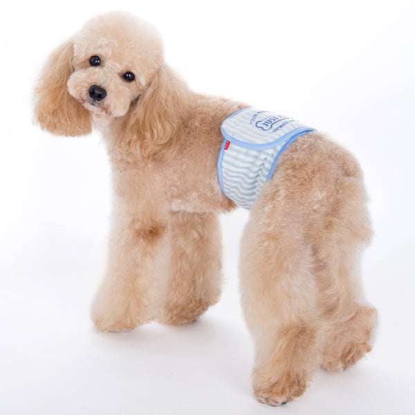 Gaki Belly Band Light Blue – Alfie Pet