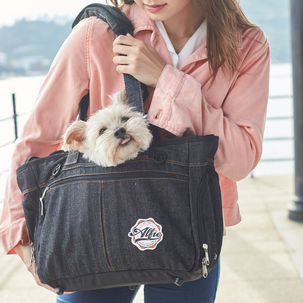 Discreet store dog carrier