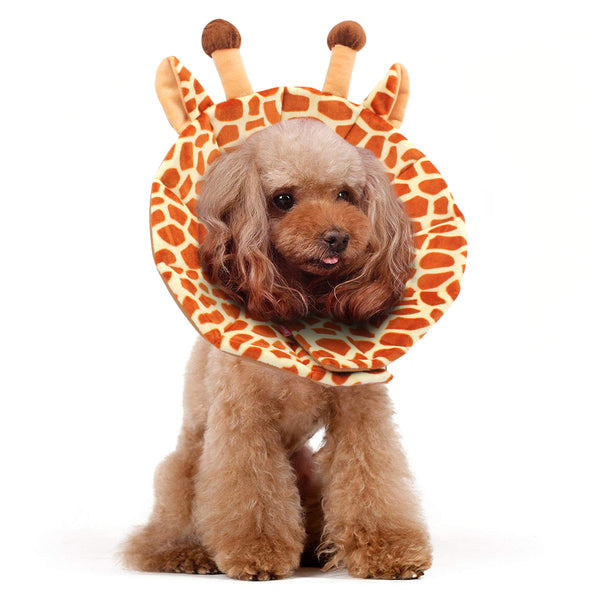 Noah Giraffe Recovery Collar Alfie Pet