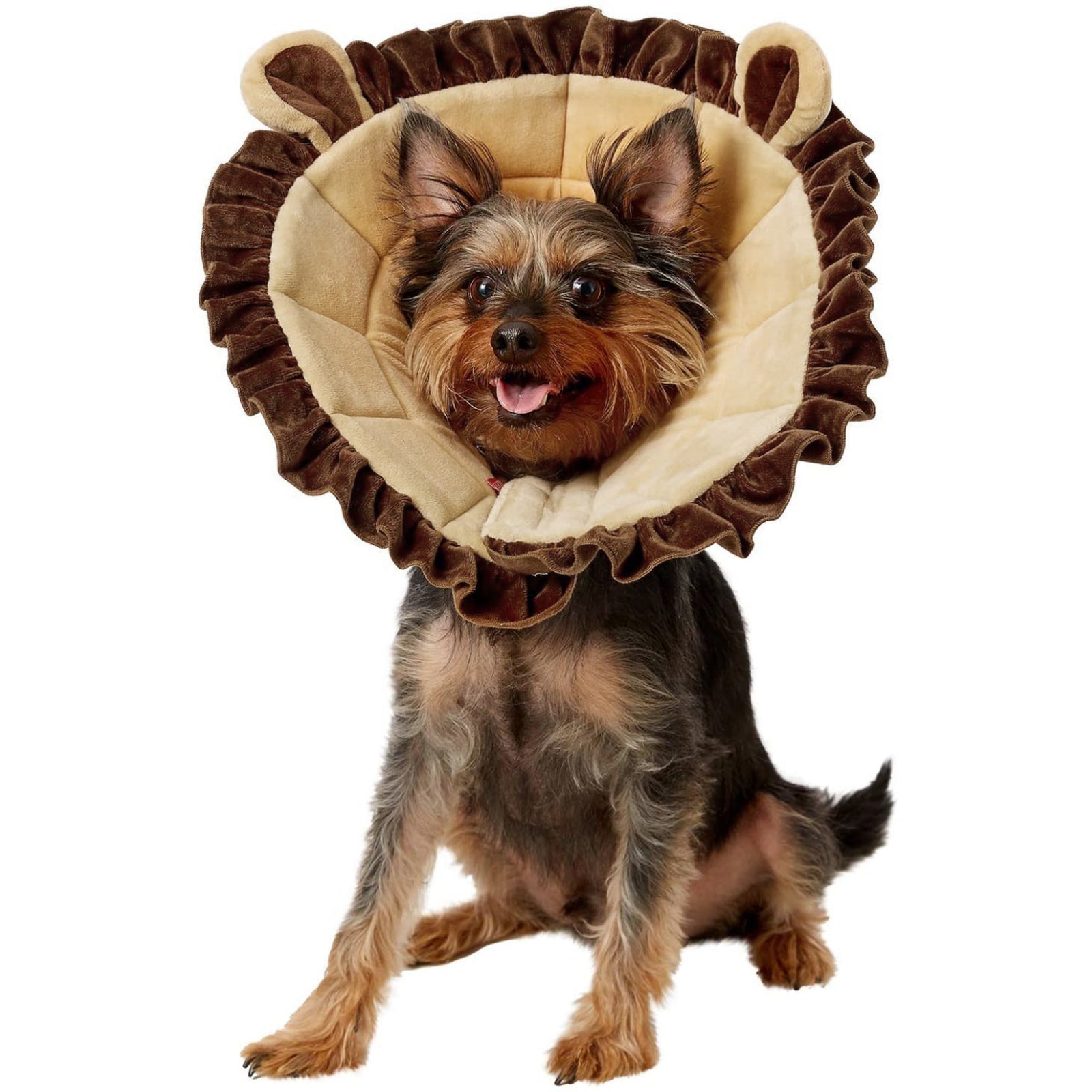 Alfie pet cone hotsell