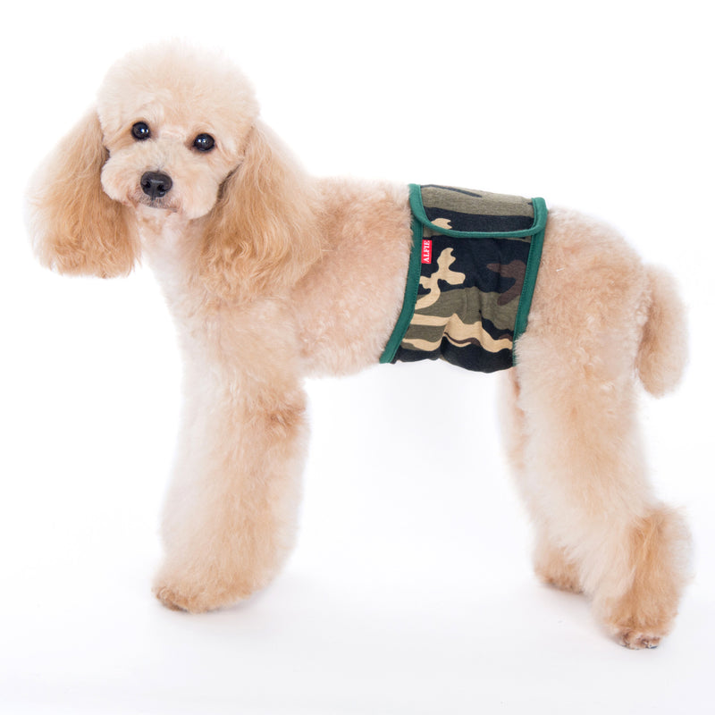 Tad Belly Band Green – Alfie Pet